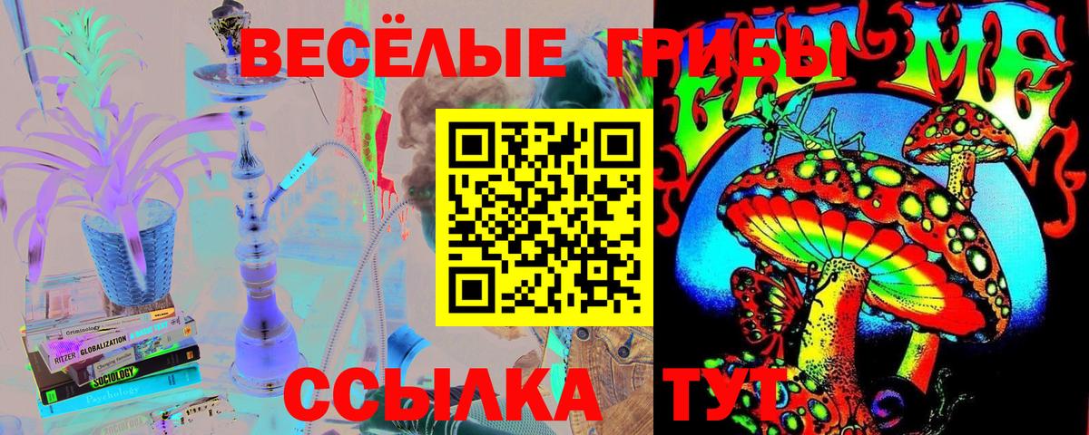 Псилоцибиновые грибы Psilocybine cubensis Краснознаменск