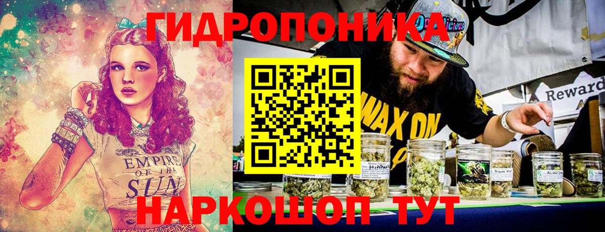 Марихуана план Краснознаменск
